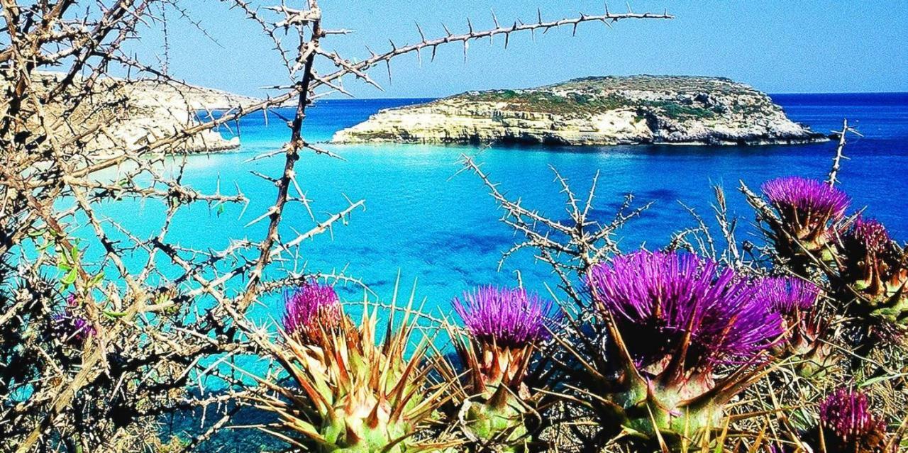Apartment Rosamarina Lampedusa